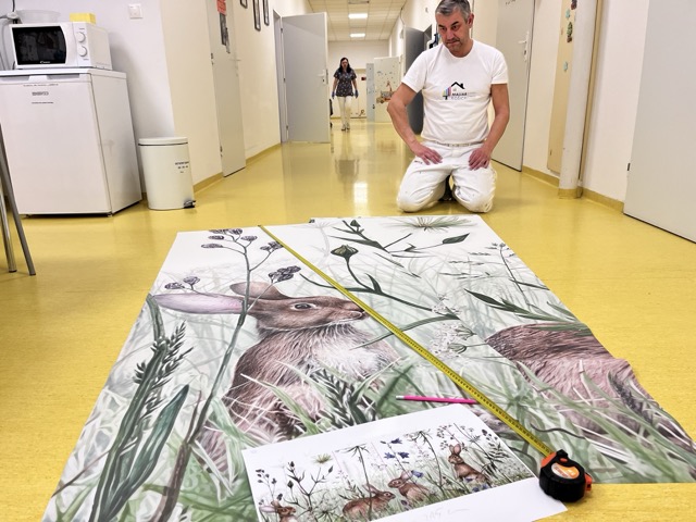 Farebné tapety - premena izieb pre detičky v nemocnici